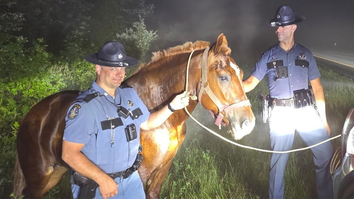Runaway horse on Interstate 95 rescued by Maine State Police troopers